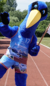 Aftermovie Jeux de Centr'Alp 2025